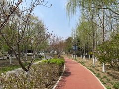 -大兴滨河森林公园