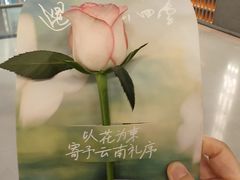 -芸山季·云南山珍菌火锅(人民广场来福士店)