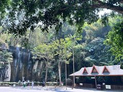 -西双版纳原始森林公园