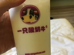 -一只酸奶牛(奎星楼店)