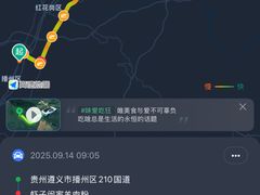 -虾子闵家羊肉粉