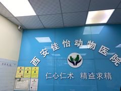 -佳怡动物医院·平价24小时·猫专科骨外科