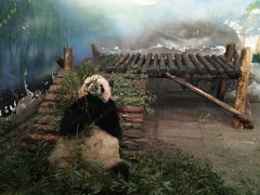 -无锡动物园·太湖欢乐园