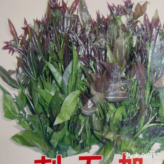 老渔翁野生鱼手擀面