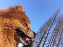 -幸福蓝海影城(上海闵行日月光中心杜比全景声店)