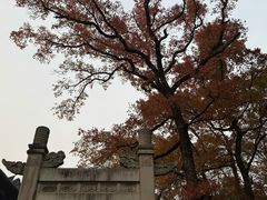 -灵谷景区