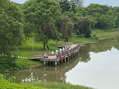 -福建鲤鱼洲酒店