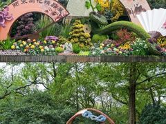 -杭州植物园