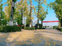-两江幸福广场