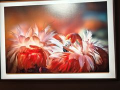 -罗红摄影艺术馆