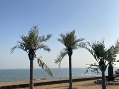 -巧克力渔家.小船海鲜家常菜(万平口店)