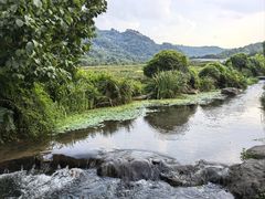 -中国茶叶博物馆(双峰馆区)