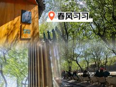 -春风习习