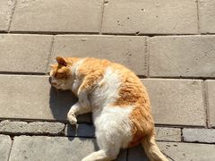 -恭王府博物馆