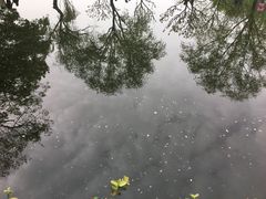 -西湖外事游船(花港观鱼码头)