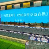 选这里被亲戚一直夸