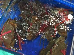 -江杨农产品批发市场