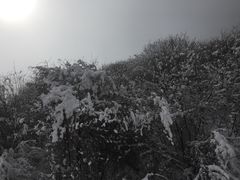 -太子岭滑雪场