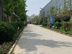 -南宫五洲植物乐园