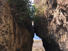 -鹅銮鼻公园