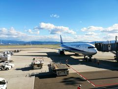 -全日本空输株式会社(上海办事处)