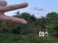 -大兴滨河森林公园