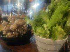 -捞王锅物料理(凯旋路店)