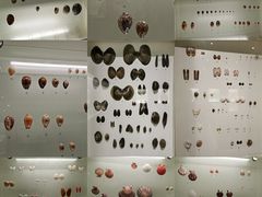 -青岛贝壳博物馆