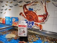 水产区-盒马鲜生(和谐广场店)
