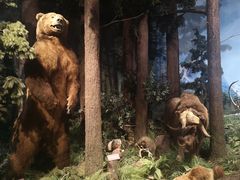 -陕西自然博物馆