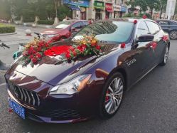 -蚂蚁婚车