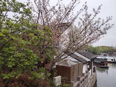-山塘街