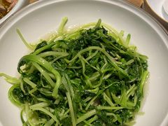 -辛香汇·现炒川菜(武进吾悦店)