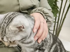 -共舞时光猫咖·狗咖(新街口店)