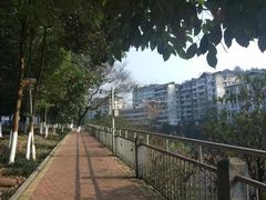 -四川农业大学(雅安校区)