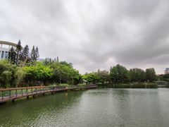 -四海公园(南山区)