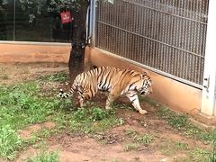 -昆明动物园