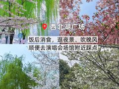 -靓靓蒸虾·头牌蒸虾(雪松路总店)