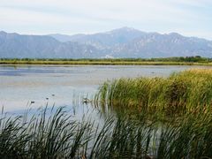 -野鸭湖国家湿地公园