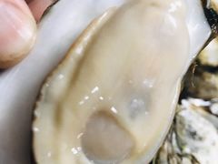 -蚝哥花姐湛江烤生蚝(美丽湾市场店)