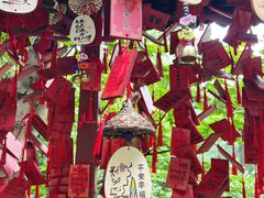 -黔灵山公园