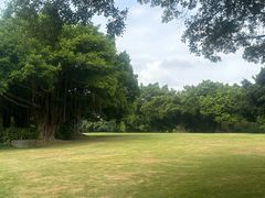 -南宁南湖公园