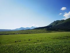 -山丹皇家马场
