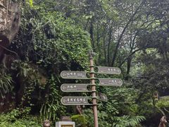 -峨眉山风景名胜区