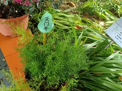 -广州神农草堂中医药博物馆