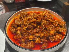 -志晖园圆子鸡·辣子鸡(阳光店)