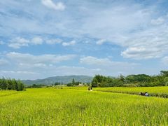 -良渚古城遗址公园
