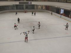 -陈露国际冰上中心(天津嘉里汇店)