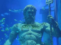 -正佳极地海洋世界