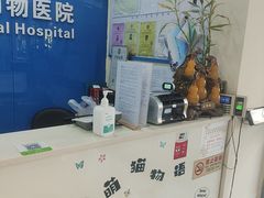 -全心全意连锁动物医院·微创中心·内科急重症·心脏专科(丰管路店)